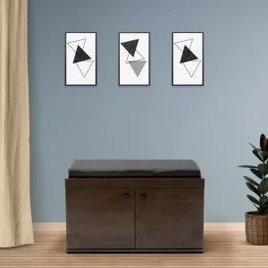 Fortuna 2-Door Shoe Cabinet