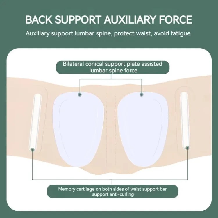 Ultra-thin Waist Belt Lumbar Support Breathable Back Spine Support Corset, Size: L